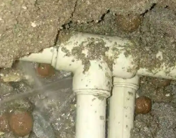 乐亭测漏水多少钱