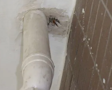 乐亭漏水检测哪家好